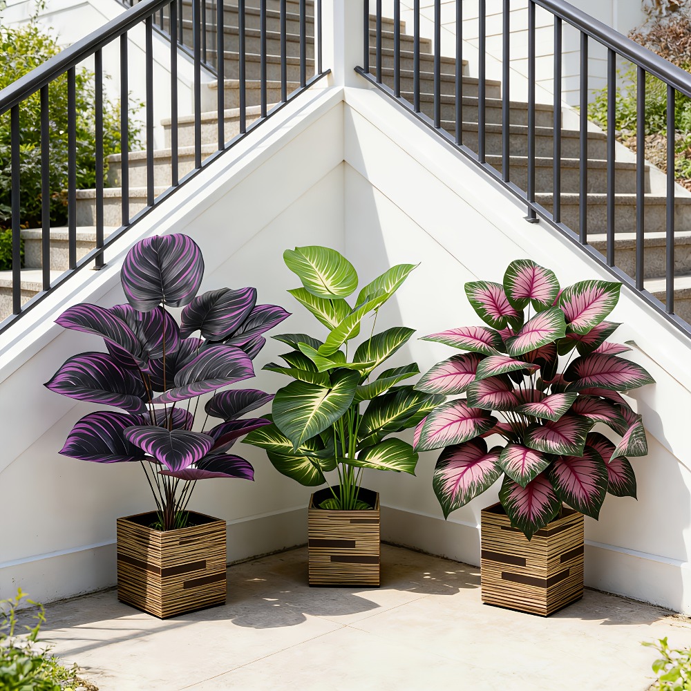 Ficus Lyrata Tree - Conjunto de 3 Peças de Plantas