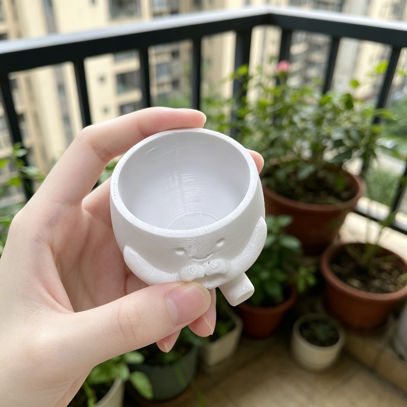 Echeveria Succulent - 1 PCS Vaso de Flores em