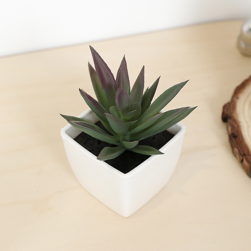 Echeveria Succulent - Mini copo de fada suculenta artificial