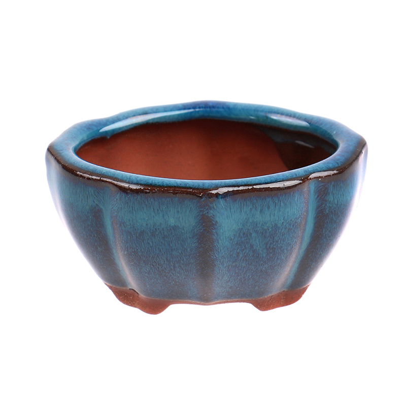 1 pçs bonsai mini vaso de cerâ - Echeveria Succulent avaliação e preço