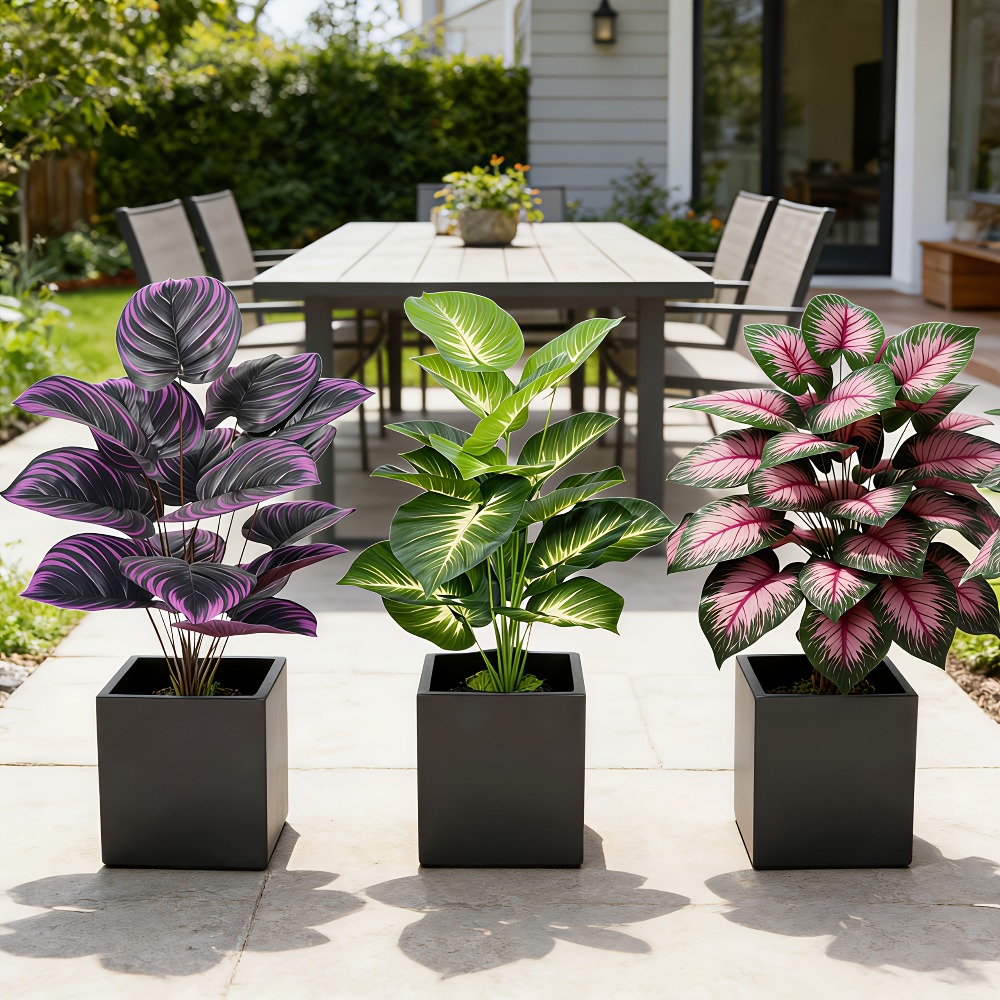 Conjunto de 3 Peças de Plantas - Ficus Lyrata Tree avaliação e preço