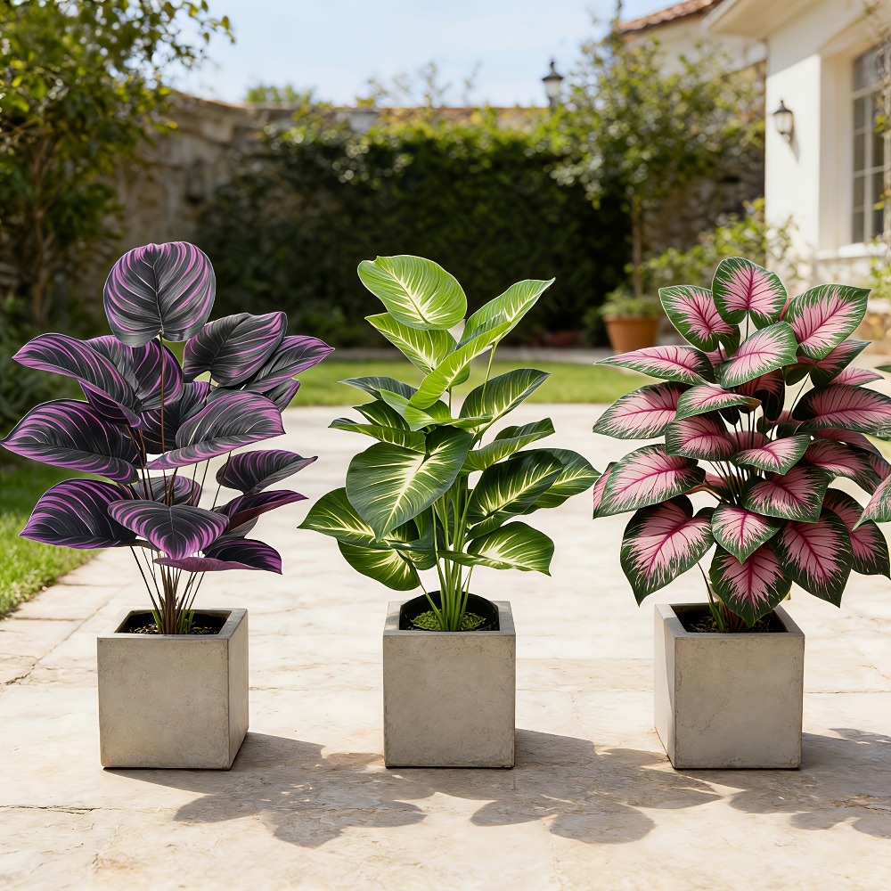 Conjunto de 3 Peças de Plantas - Ficus Lyrata Tree avaliação e preço