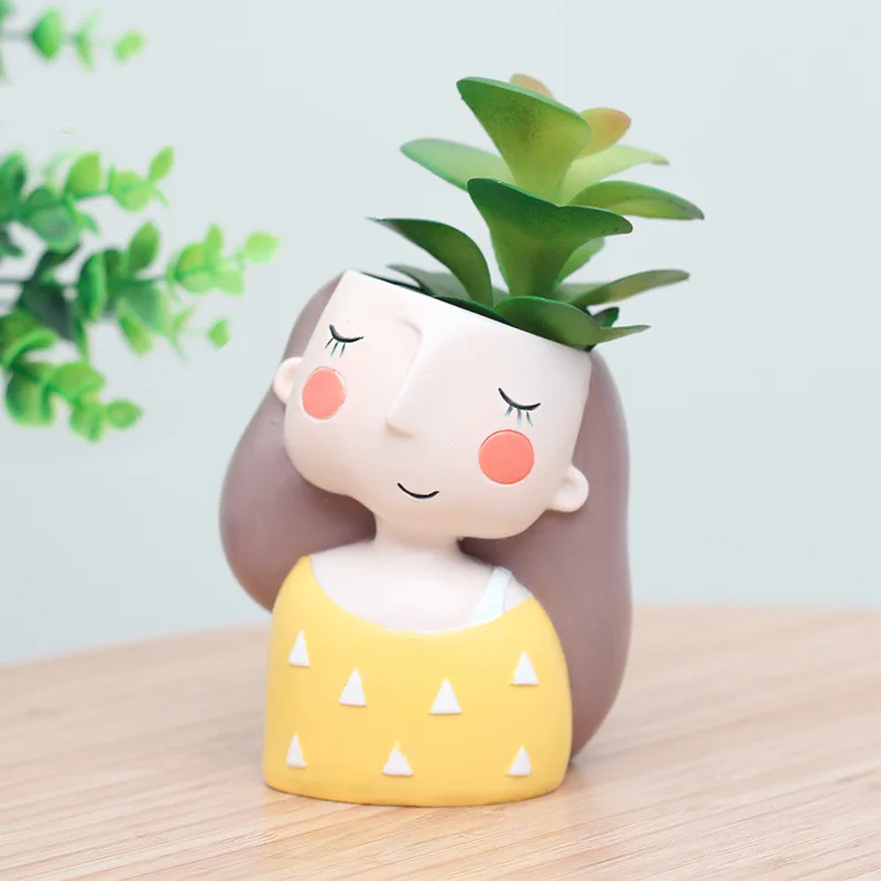 Lovely Girl Flower Pot para ca - Echeveria Succulent avaliação e preço