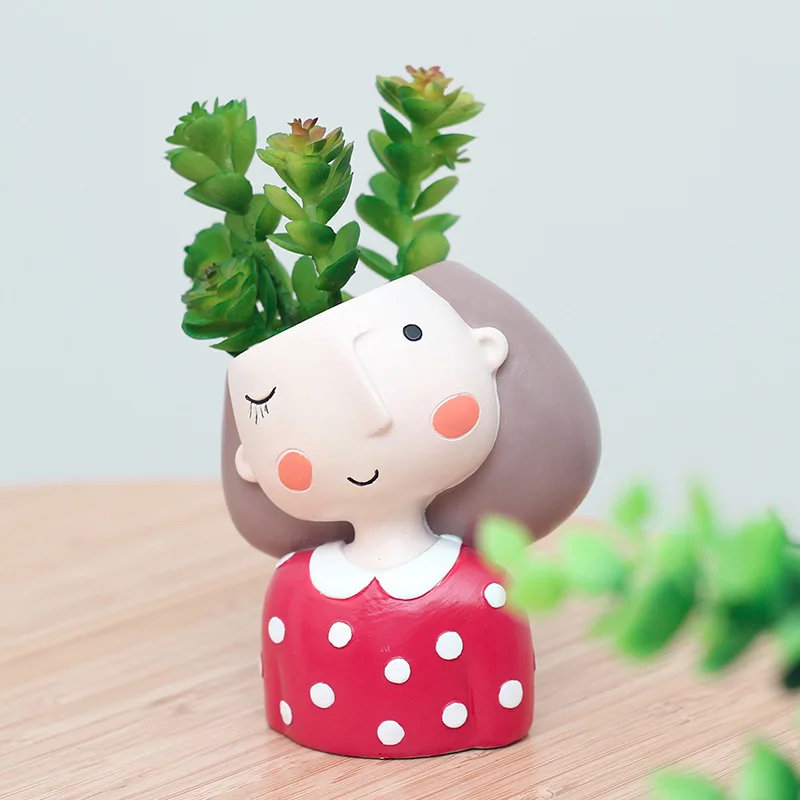 Lovely Girl Flower Pot para ca - Echeveria Succulent avaliação e preço