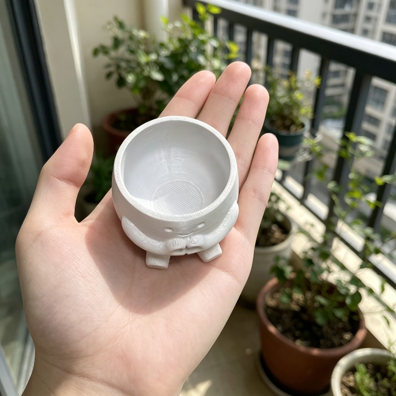 1 PCS Vaso de Flores em Forma  - Echeveria Succulent avaliação e preço