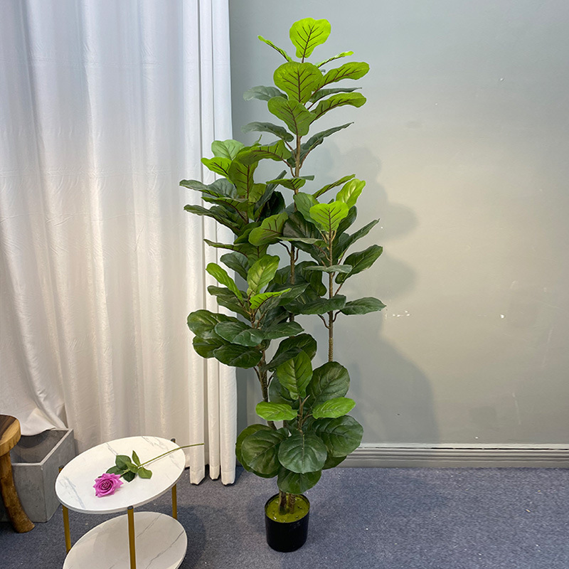 Plantas Artificiais De Grande  - Ficus Lyrata Tree avaliação e preço