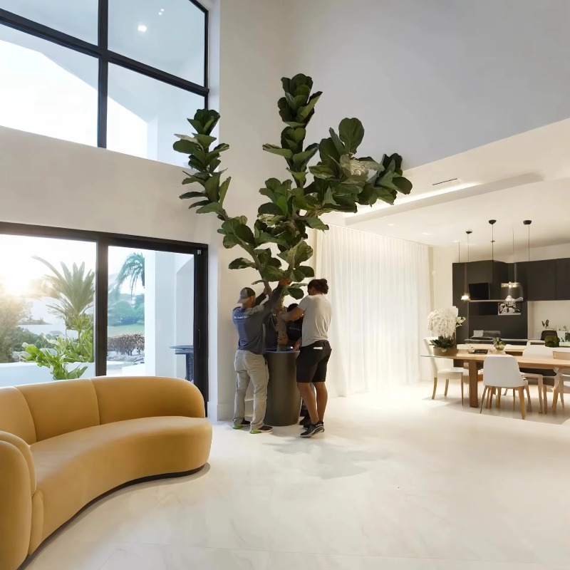 Plantas artificiais de interio - Ficus Lyrata Tree avaliação e preço