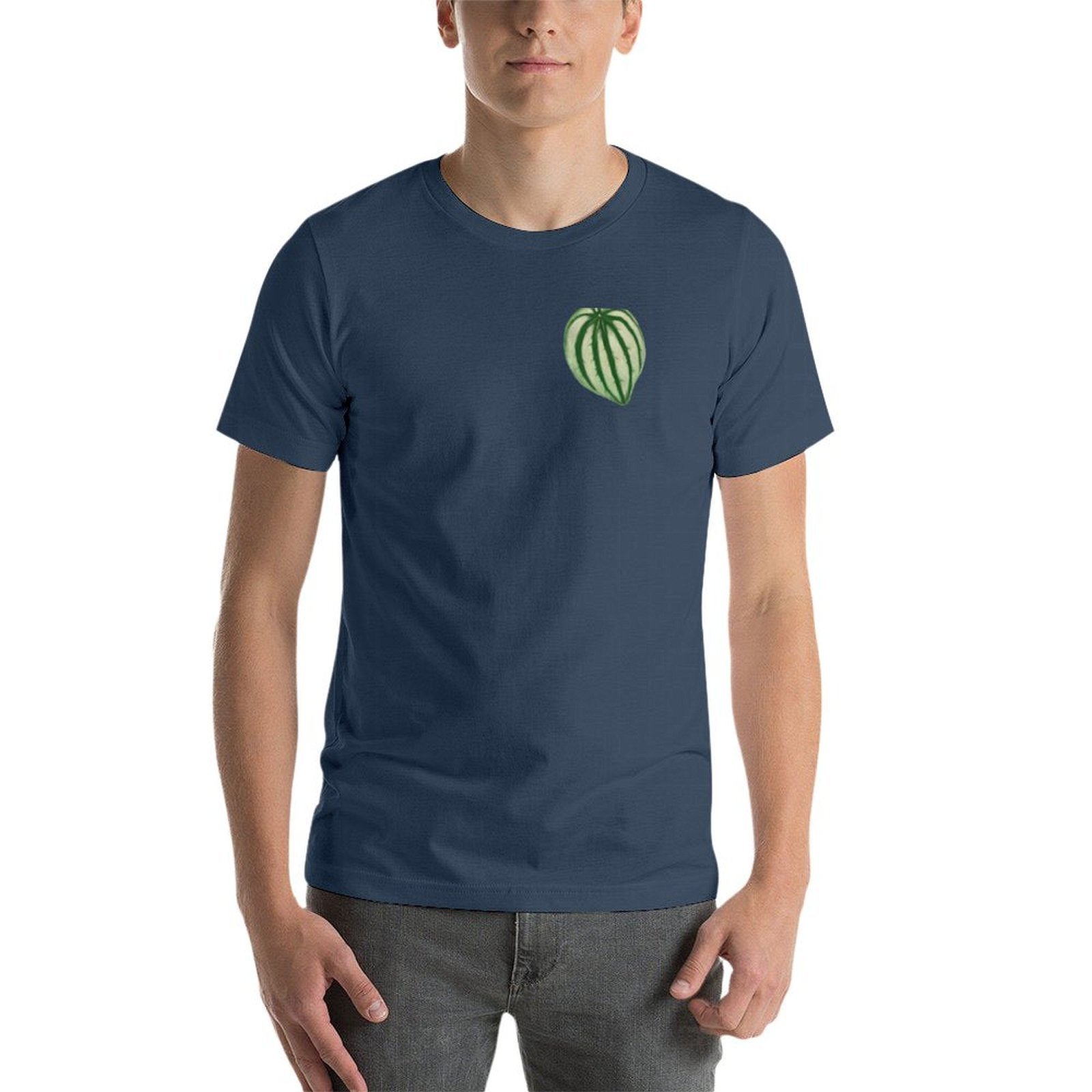 Camiseta Peperomia Watermelon  - Peperomia Watermelon avaliação e preço