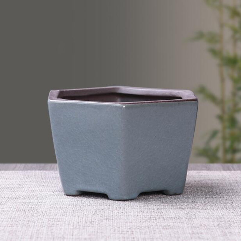 Vaso De Flores De Cerâmica Ret - Echeveria Succulent avaliação e preço