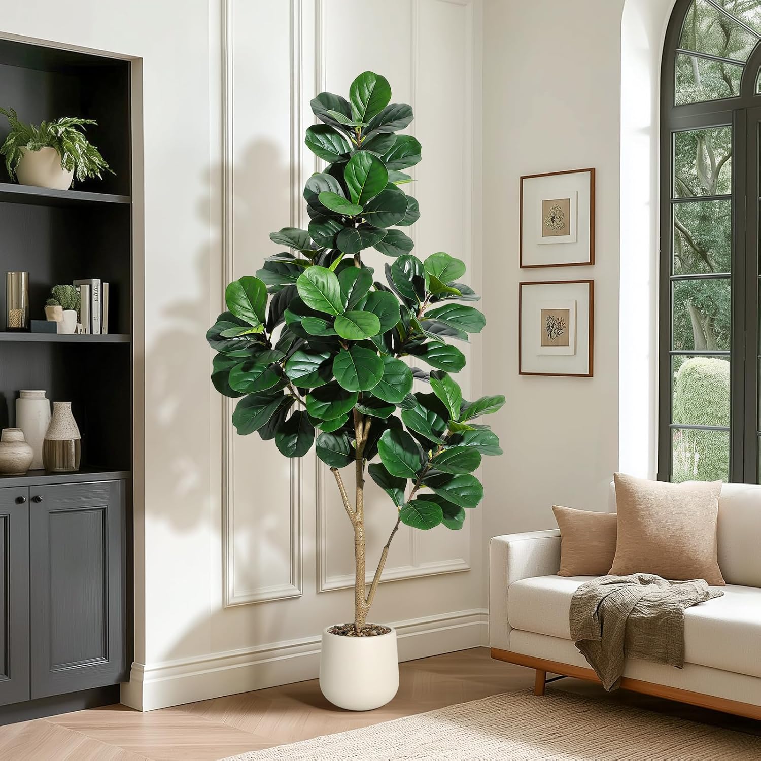 4-7 pés folha de violino figo  - Ficus Lyrata Tree avaliação e preço