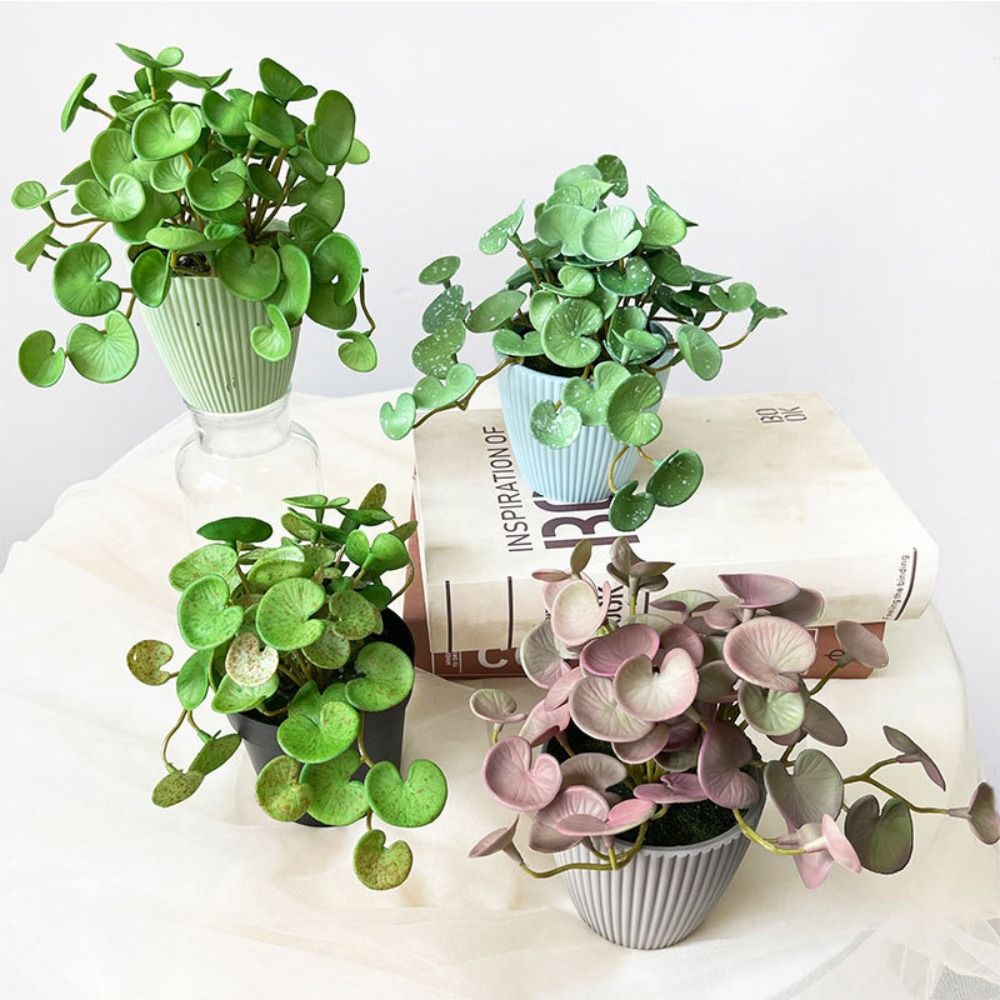 Cola macia planta artificial e - Echeveria Succulent avaliação e preço