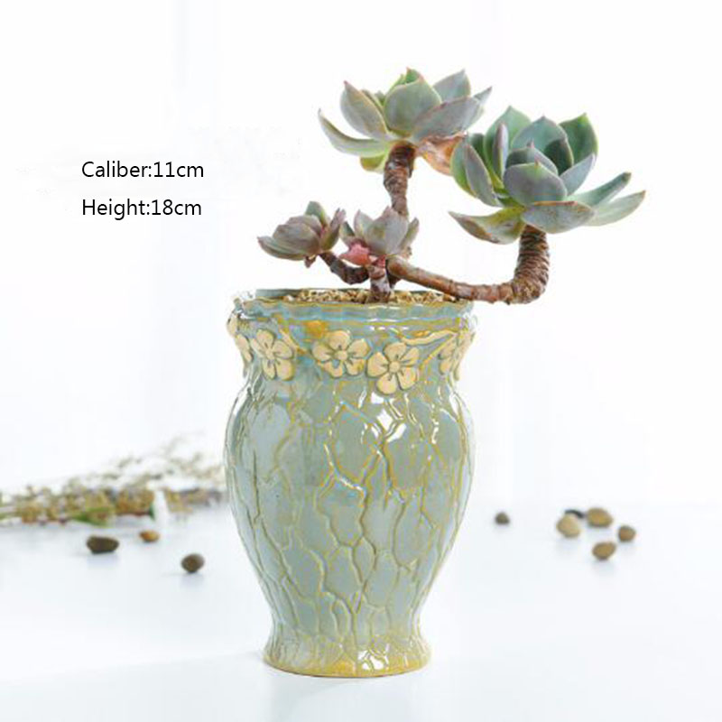 Vaso de plantas suculentas, va - Echeveria Succulent avaliação e preço