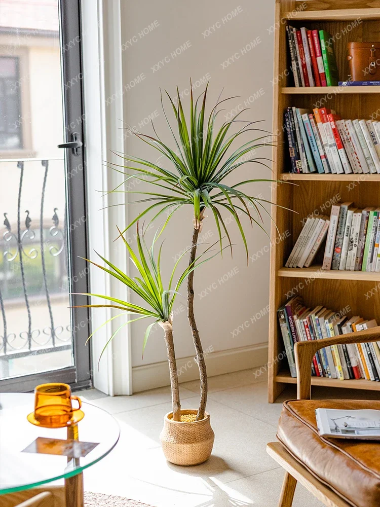 Simulação de luxo leve planta  - Dracaena Marginata avaliação e preço