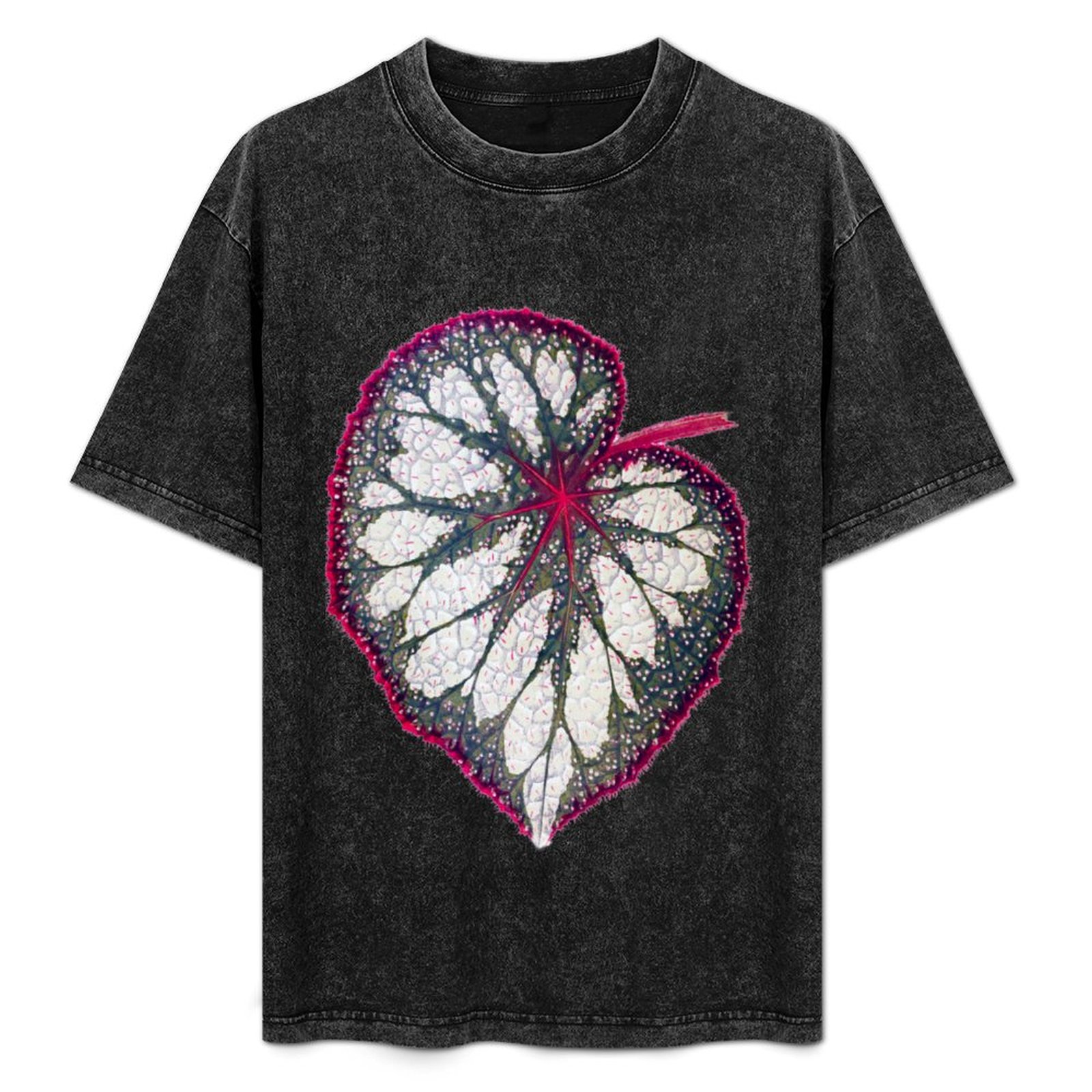 Camiseta Begonia rex, camiseta - Begonia Rex avaliação e preço