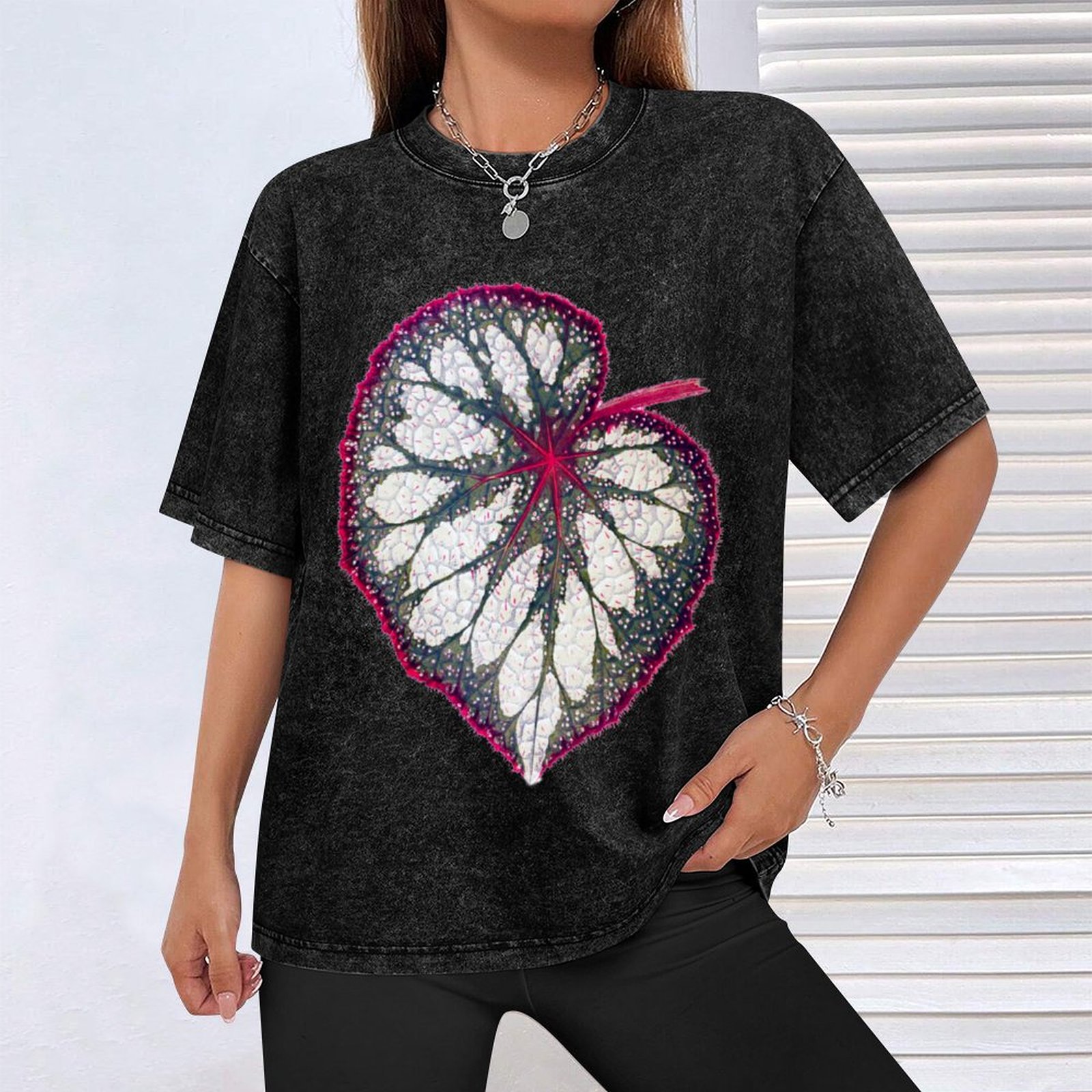 Camiseta Begonia rex, camiseta - Begonia Rex avaliação e preço