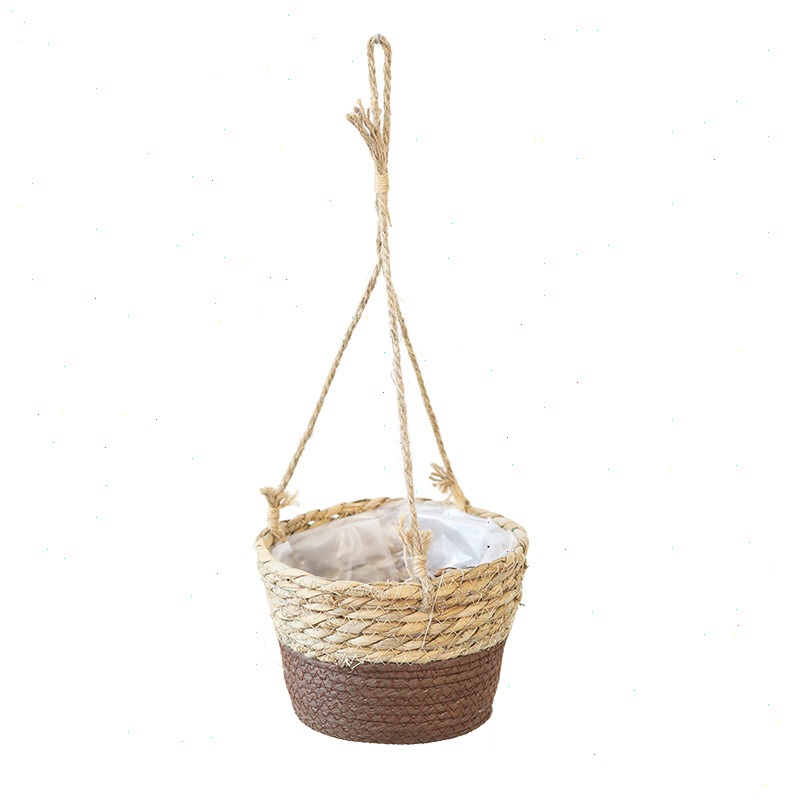 Palha pendurado cesta vaso de  - Spider Plant Hanging avaliação e preço