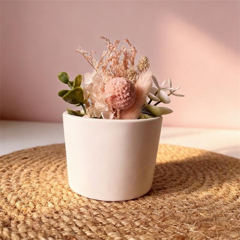 Vaso Redondo de Gesso para Pla - Echeveria Succulent avaliação e preço
