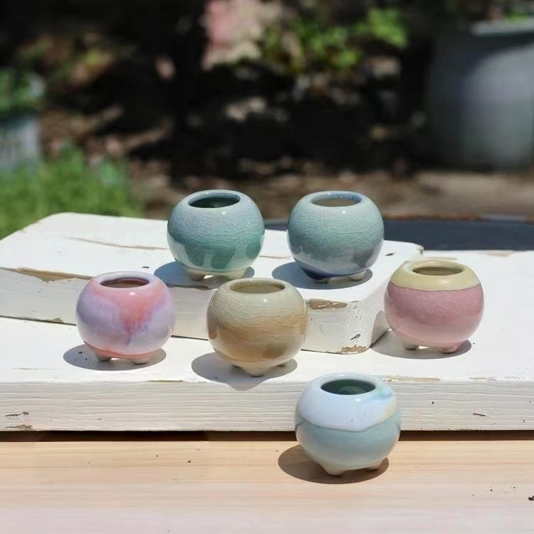 6 pçs mini vaso de flores sucu - Echeveria Succulent avaliação e preço