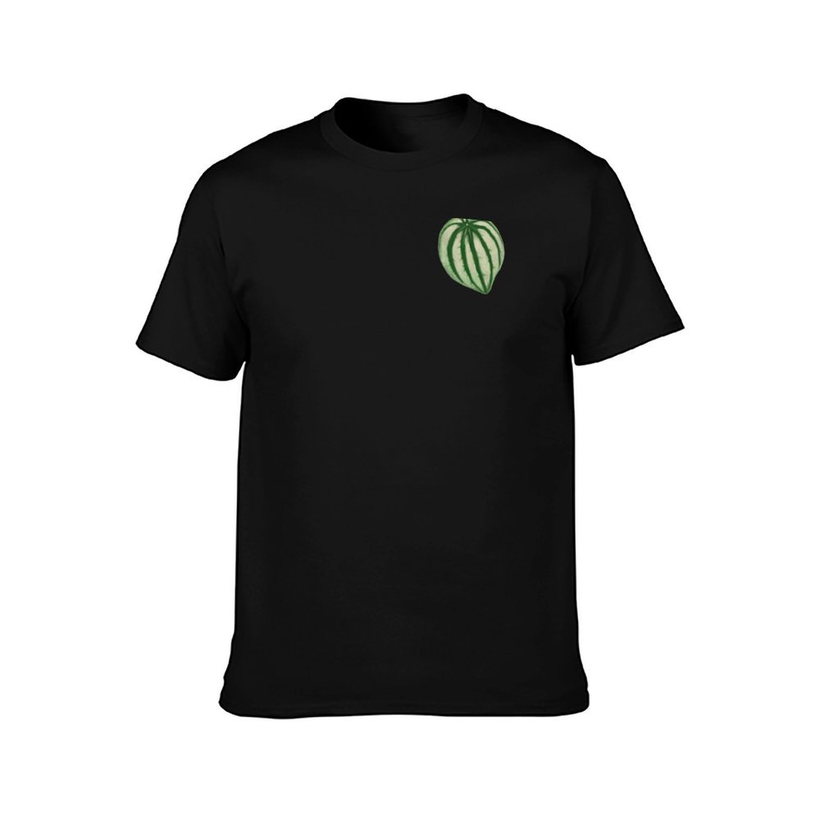Camiseta Watermelon Peperomia  - Peperomia Watermelon avaliação e preço
