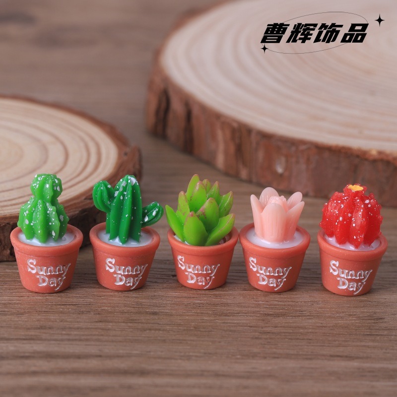5 pçs simulação suculenta vaso - Echeveria Succulent avaliação e preço